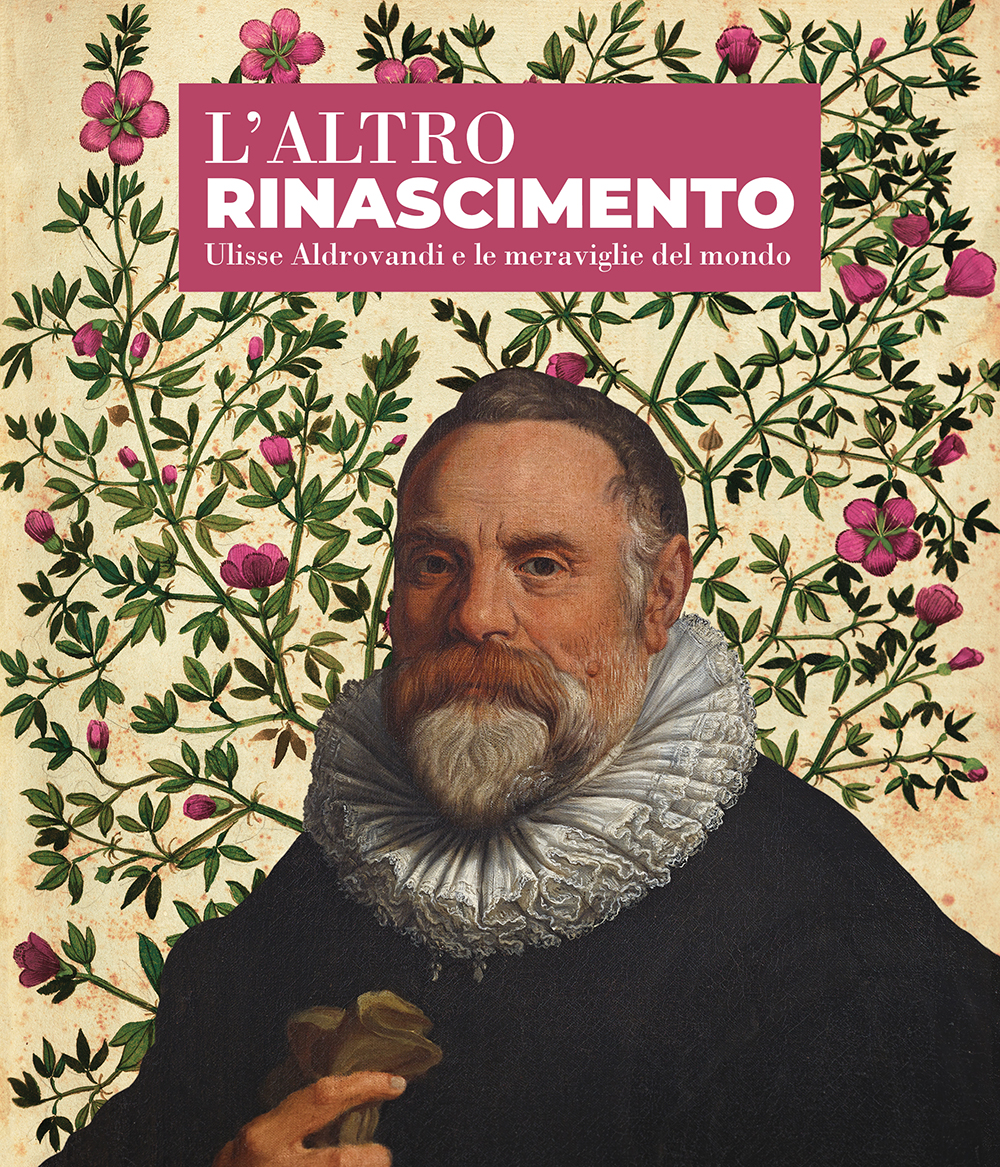 L'altro Rinascimento - Bologna University Press